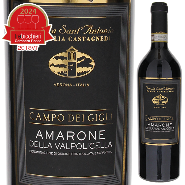 カンポ デイ ジーリ アマローネ デッラ ヴァルポリチェッラ 2018 テヌータ サンアントニオ 750ml  [赤]