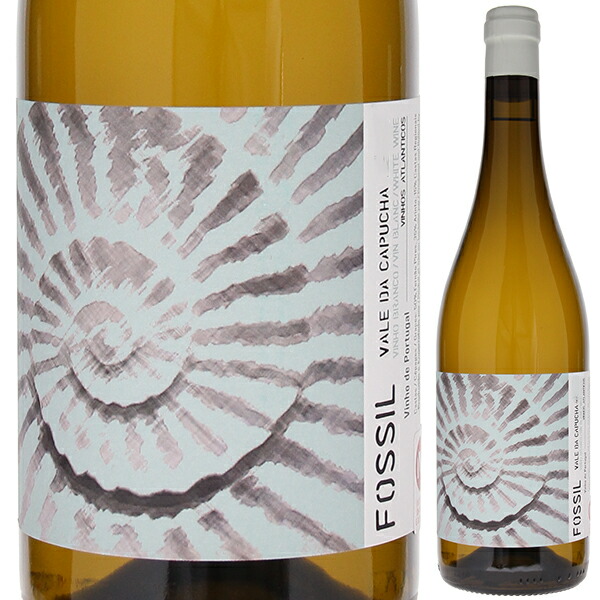 フォッシル ブランコ 2021 ヴァレ ダ カプーシャ 750ml  [白] 自然派