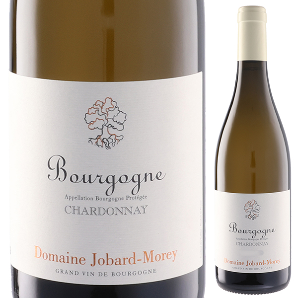 ブルゴーニュ シャルドネ 2022 ドメーヌ ジョバール モレ 750ml  [白]