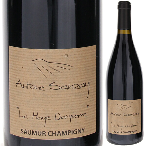 ソーミュール シャンピニー ラ エイ ダンピエール 2020 アントワンヌ サンゼイ 750ml  [赤] 自然派