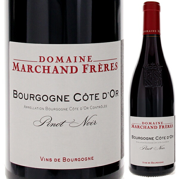 ブルゴーニュ コート ドール ピノ ノワール 2023 ドメーヌ マルシャン フレール 750ml  [赤]