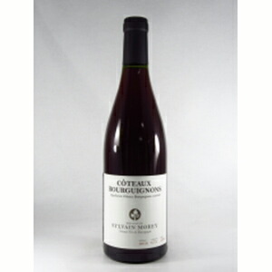 コトー ブルギニョン 2022 シルヴァン モレ 750ml  [赤]