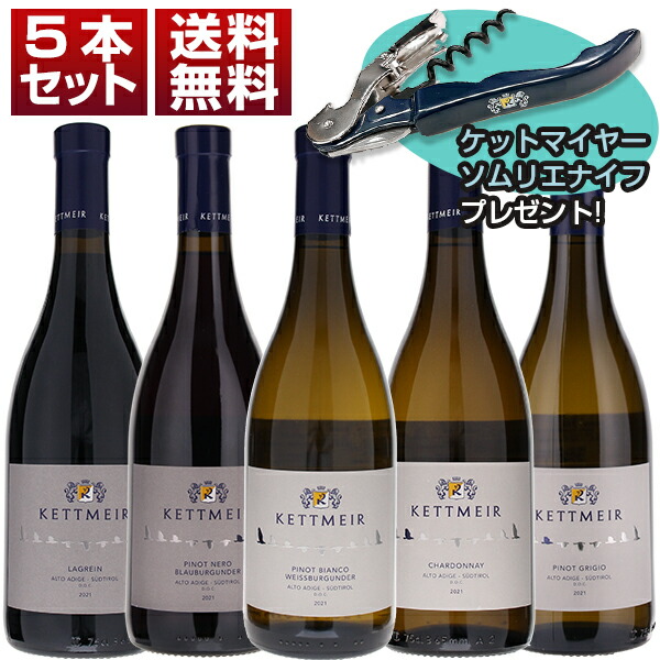 アリアニコ サンニオ フェウド デュカーレ 750ml イタリア 赤ワイン - 飲料/酒