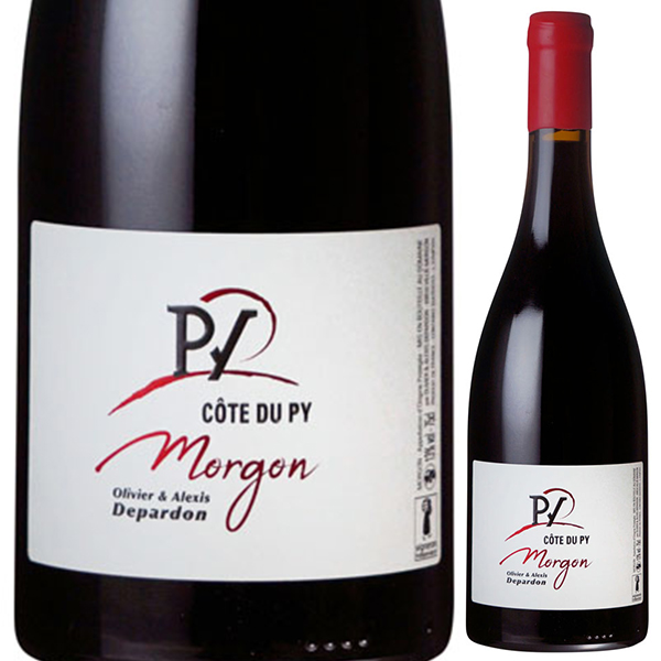 モルゴン コート デュ ピィ 2023 ドメーヌ ド ラ ベッシュ （オリヴィエ デパルドン） 750ml  [赤]