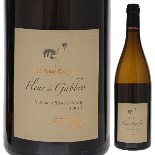 ミュスカデ セーヴル エ メーヌ シュール リー フルール ド ガブロ 2022 ドメーヌ ド ラ トゥール ガリュス 750ml  [白]