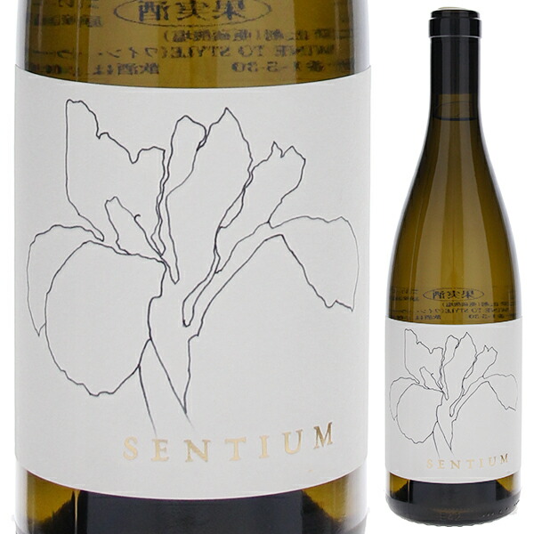 ソーヴィニヨン ブラン メンドシーノ 2023 センティアム 750ml  [白]