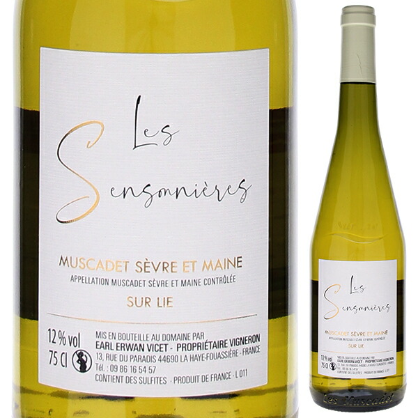 ミュスカデ セーヴル エ メーヌ シュール リー レ サンソニエール 2024 ドメーヌ エルワン ヴィセ 750ml  [白]
