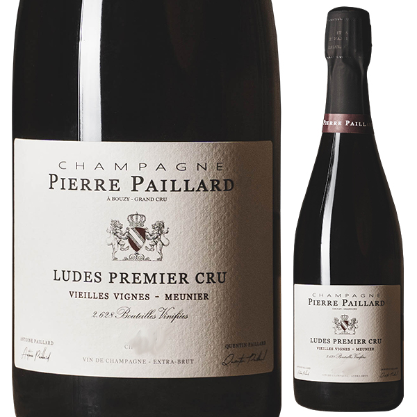 リュド プルミエ クリュ 2020 ピエール パイヤール 750ml  [発泡白]