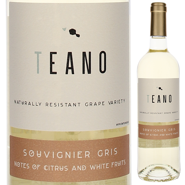 テアノ スーヴィニエ グリ 2024 (チュチアック) 750ml  [白]