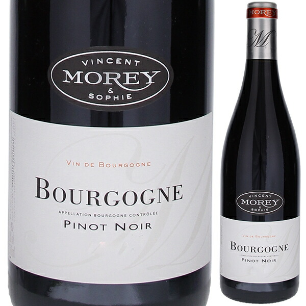 ブルゴーニュ ピノ ノワール 2022 ヴァンサン エ ソフィー モレ 750ml  [赤]
