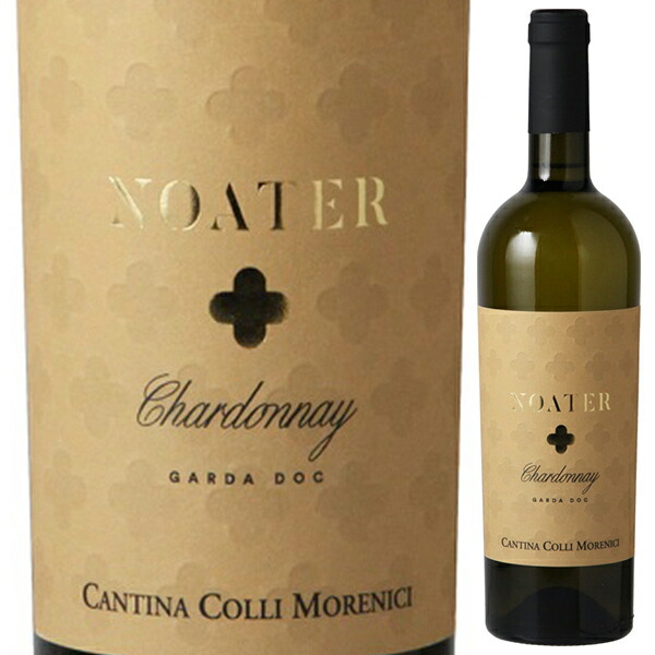 シャルドネ ノアター 2024 カンティーナ ヴァルパンテーナ 750ml  [白]