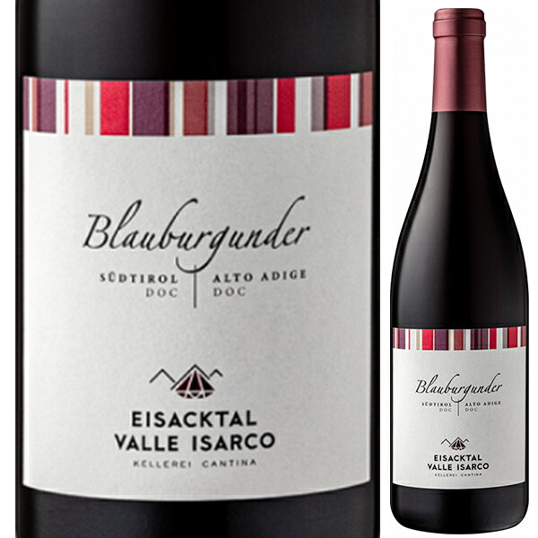 ピノ ネロ 2024 カンティーナ ヴァッレ イサルコ 750ml  [赤]