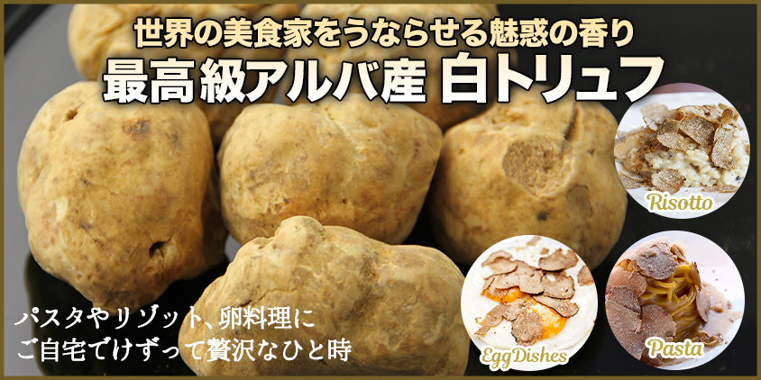 白トリュフ