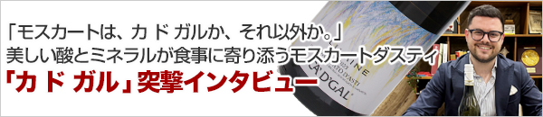 突撃インタビュー