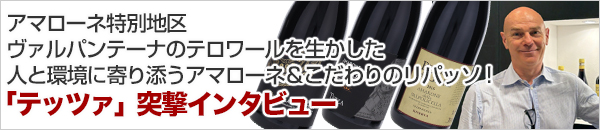 訪問
