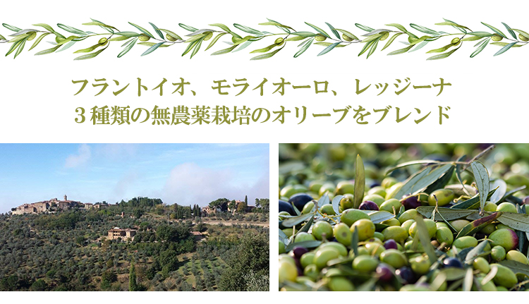 ３種類の無農薬オリーブをブレンド