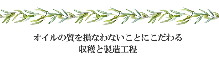 アルドイノ　ノヴェッロオイル