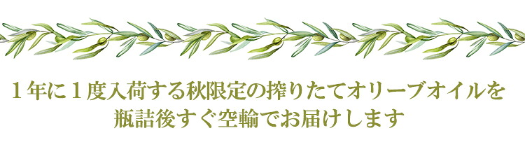 1年に1度入荷する秋限定の搾りたてオリーブオイルを瓶詰後すぐ空輸でお届けします