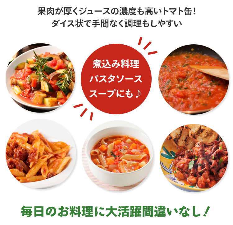 ダイスカットトマト缶 イタリア産 ソルレオーネ