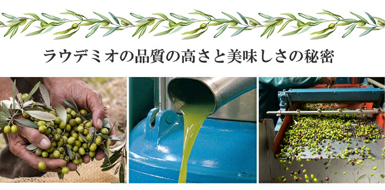 ラウデミオの品質の高さの秘密