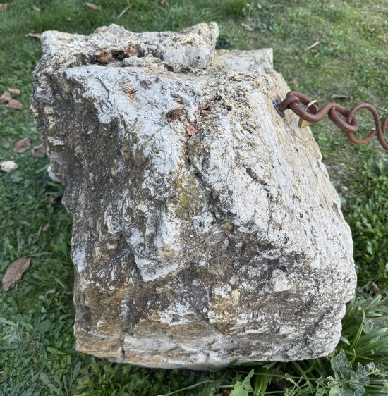 ルエンツォの土壌