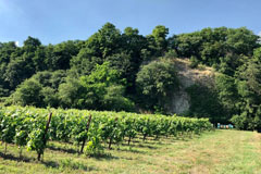 バレストリヴァルダセンジャルダの畑