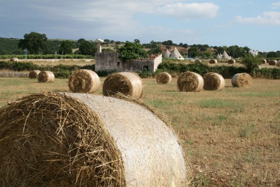 プーリア チェントラーレ