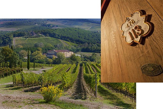 グレヴェペーザ畑