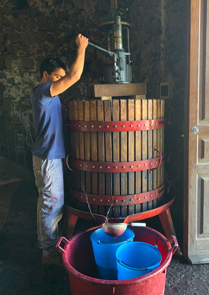 ヴィーノ ディ アンナ醸造