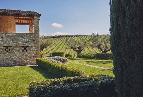 マラミエーロ畑