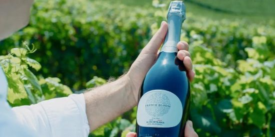 フレンチブルーム　ノンアルコールワイン