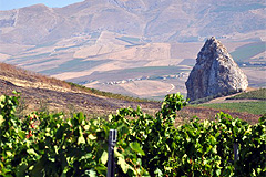 チェントパッシの畑