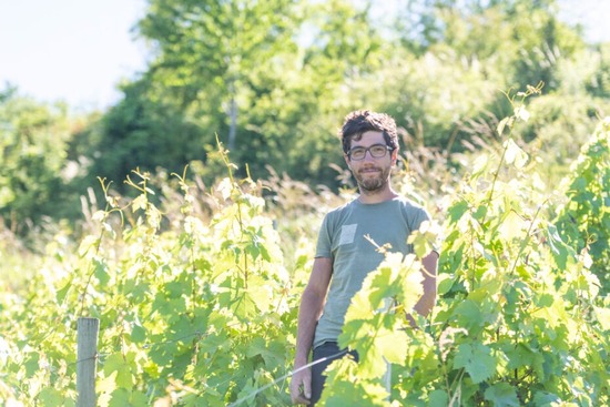 アクセル ドモン