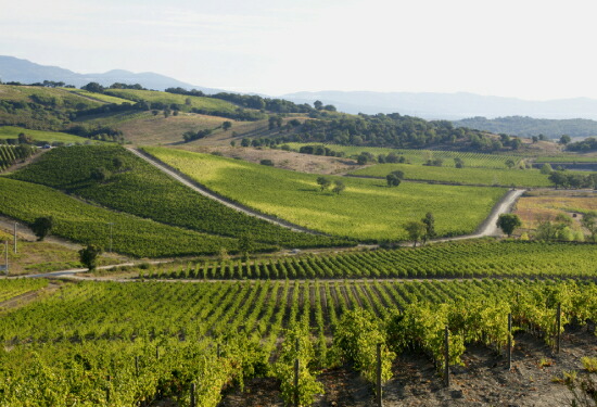 ロッカ ディ フラッシネッロ