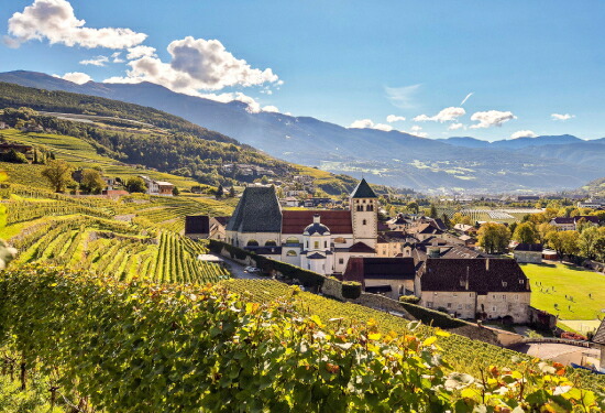 カンティーナと畑