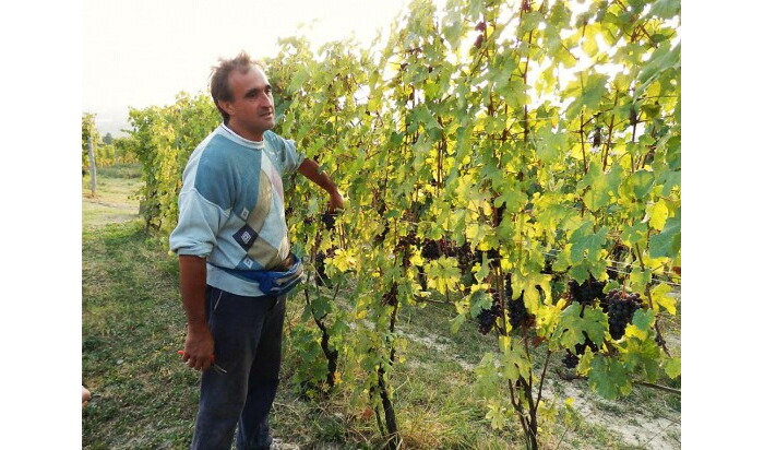 ジャンニカノーニカ