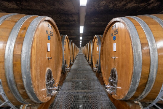 プロデュットーリ デル バルバレスコ カンティーナ