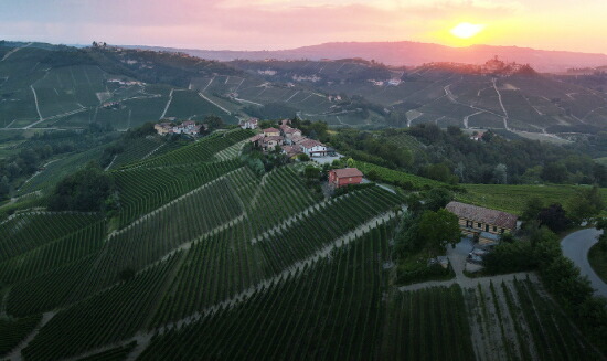 ボアッソ フランコ 畑