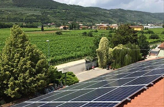 テッツァ サステナブル