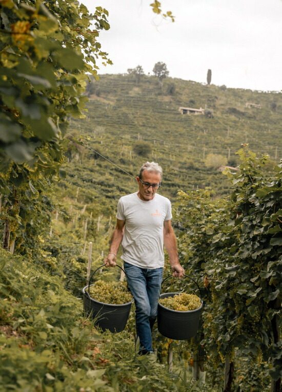 ジャンフランコ ボルトリン