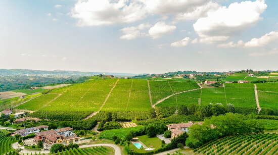 サント ステファノ畑