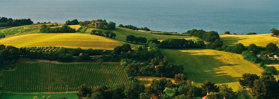 モンカロカンティーナデルコーネロ