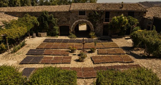 フェウド モントーニ上から