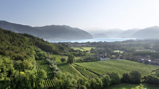 ベラヴィスタ風景