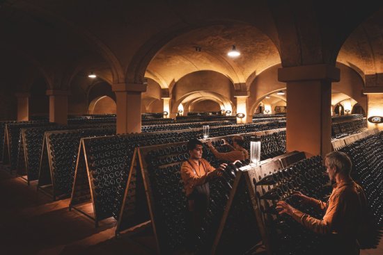 ベラヴィスタ貯蔵庫