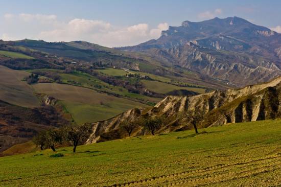 シモーネ カペッチ風景