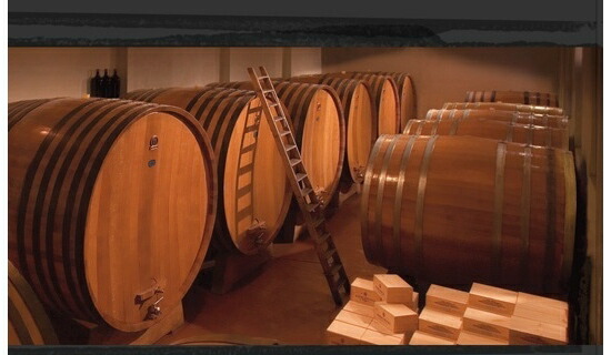 ブルーノ ジャコーザ カンティーナ