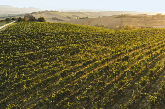 ヴィニャマート