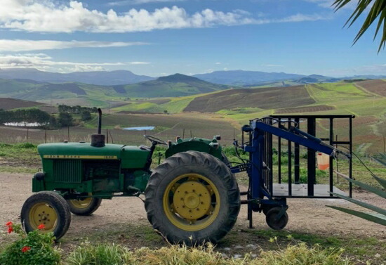 グッチョーネ 畑