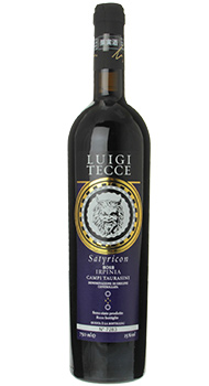 トスカニー イタリアワイン専門店 サティリコン 15 ルイージ テッチェ 750ml 赤 Satyricon Luigi Tecce 自然派